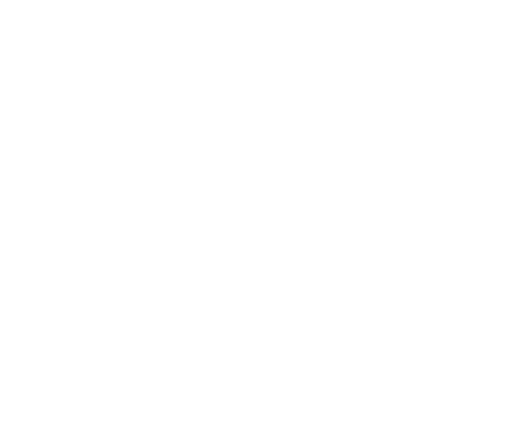 Project Manager per lo sviluppo del territorio